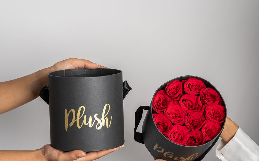 Elevate Every Corporate Affair with Plush: Your Premier Destination for Luxury Gifting and More