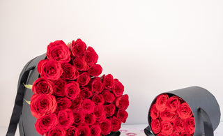 Unveiling the Exquisite World of Plush: Redefining Gifting with Personalized Luxury Roses in Bangalore