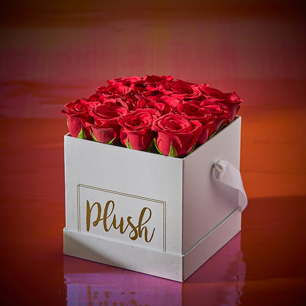 Mini Box – House of Plush