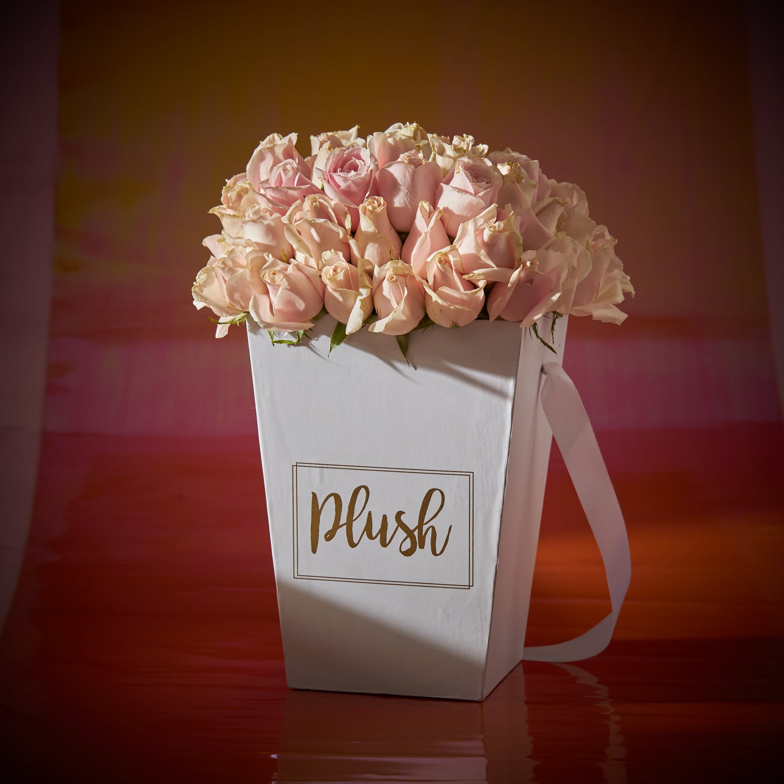 Tumblr Box – House of Plush
