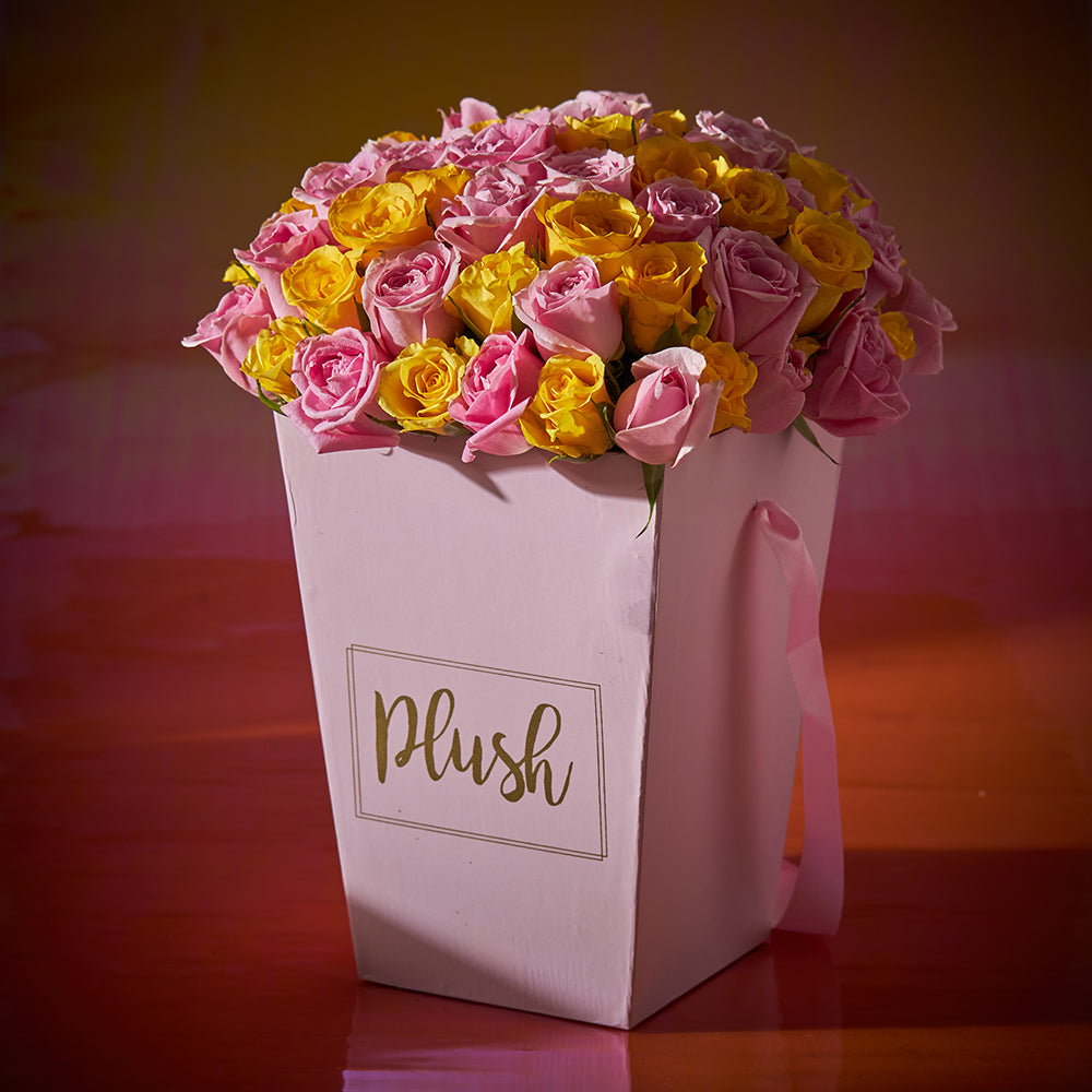 Tumblr Box – House of Plush