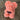 Rose Teddy